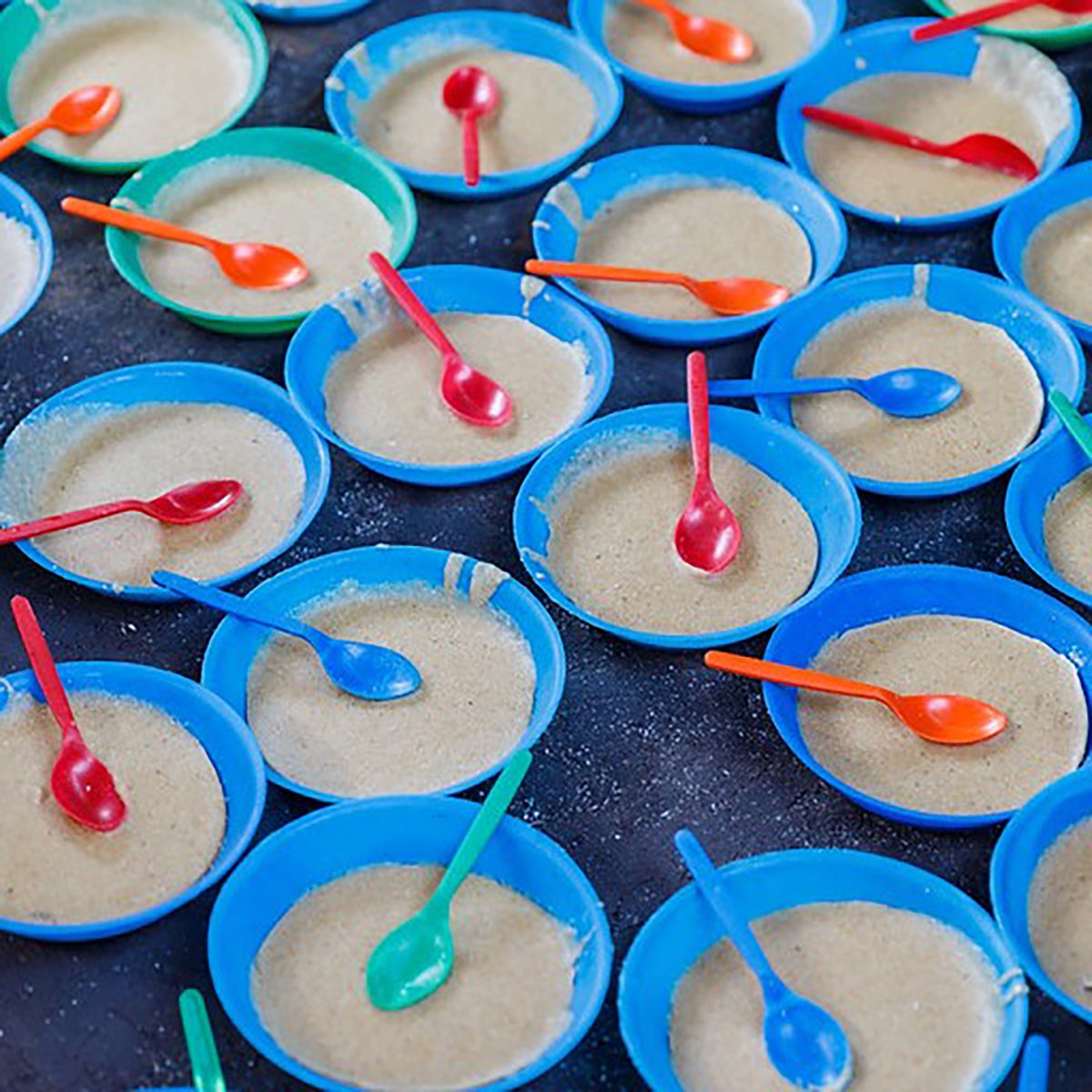 VitaMeal 30 Meals (1 Bag)