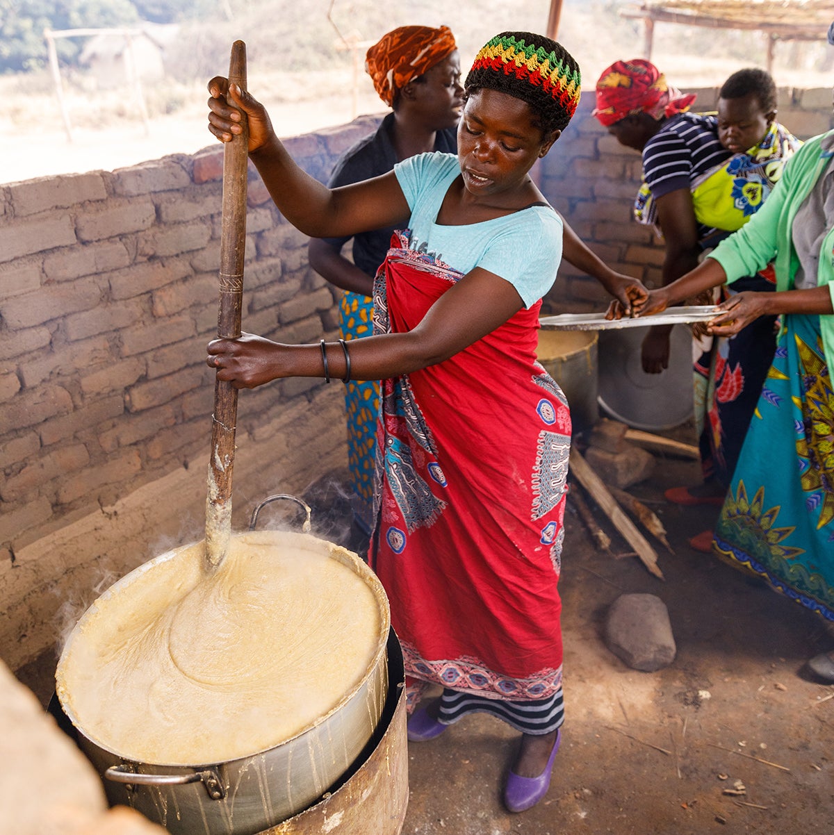 VitaMeal 30 Meals (2 Bags)